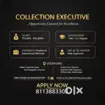 Field executive officer