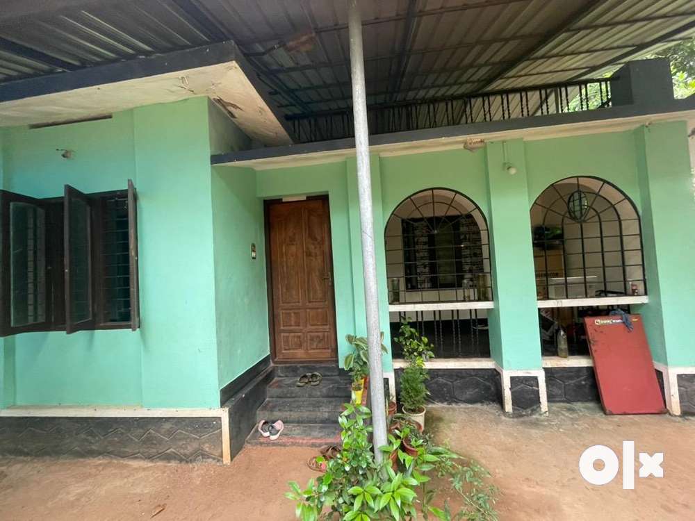 11 cent plot with house in aloor edathadan centre for 40,00,000