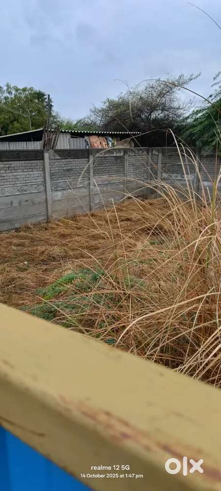 For sale land