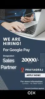 Sales Partner Executive