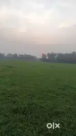 Farmland available for sale near DH Road sharishahat