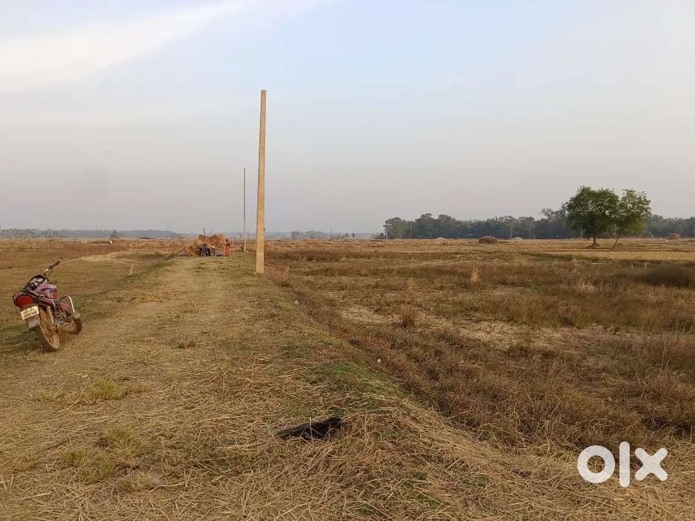 Investment & Residential Plot Sale