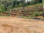 ##15 cent at kavalangad Nellimattom