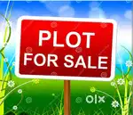 90 gaj Plot available with 20 feet road Shanti vihar gali no 2Bareilly