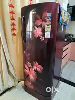 LG single door refrigerator 200 L. (With Floral design)