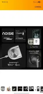 Apple 20 adaptor & noise muster buds