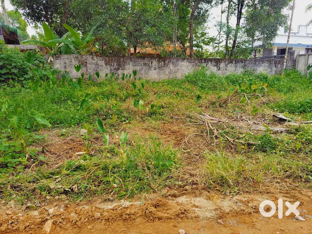 Residential Plot for Sale in Udayamperoor, Pathemille – 3.138 Cents
