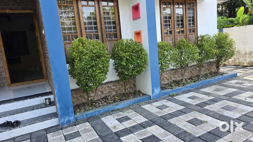 Cropping plants and leveling garden grass 299 per hour