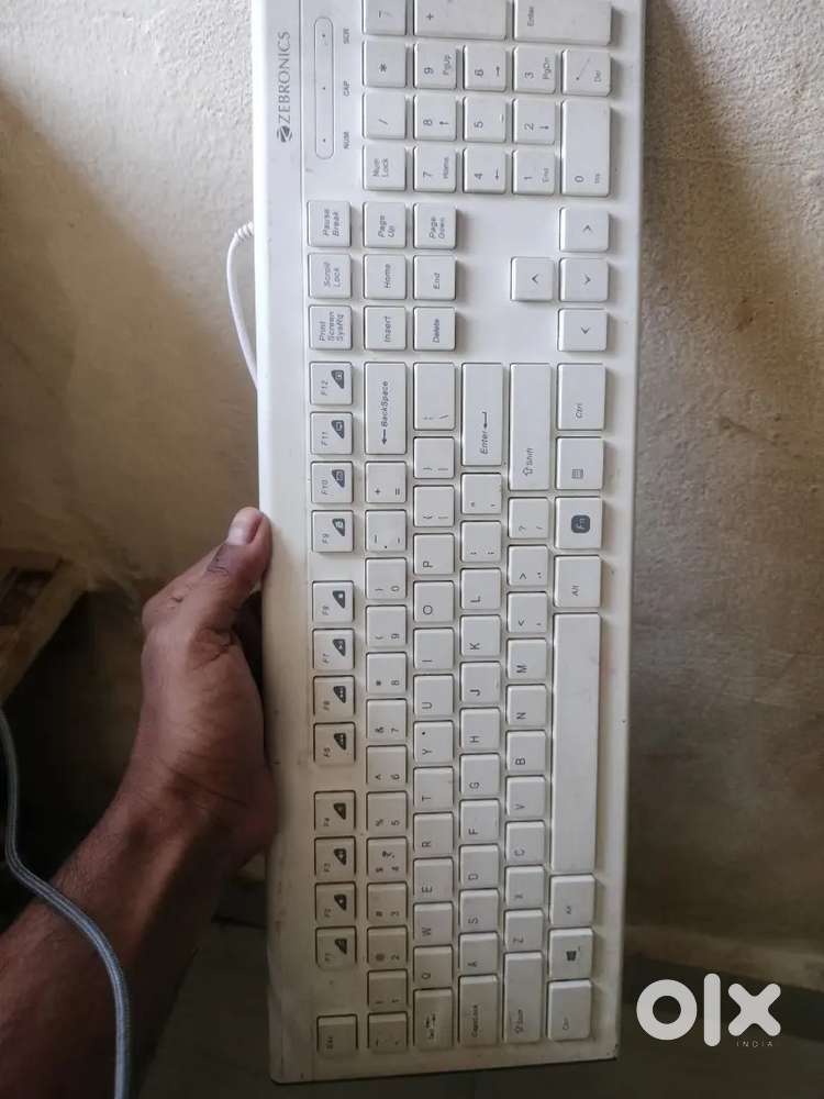 Zebronics keyboard