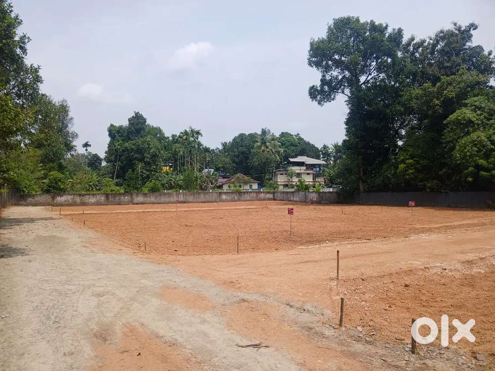 Hill palace bhavens near