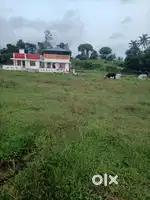 Propperty lease, rent, sale വാങ്ങാനോ കൊടുക്കാനോ ഉള്ളവർ plz കോൺടാക്ട്