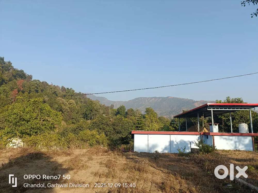 Plots in thano location