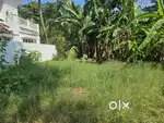 8 cent Residencial House Plot For Sale Near Palarivattom Bypass.