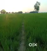 3 bigha pothar mati sell korim