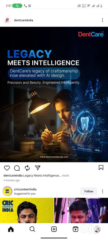 Collection & excutive