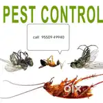 Pvk control service