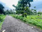 ചാലക്കുടി മുരിങ്ങൂർ പൂലാനി 6ഏക്കർ land cent 1.25lakh