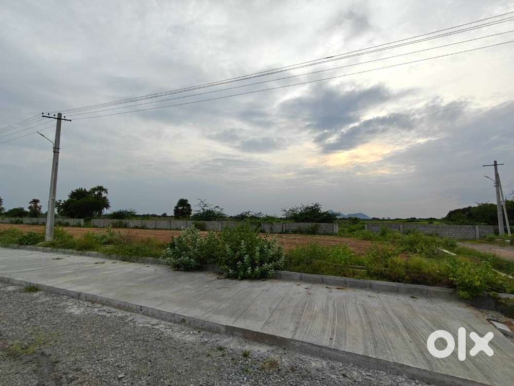 Residential land for Sale in Chilakaluripet - Narasaraopet Road