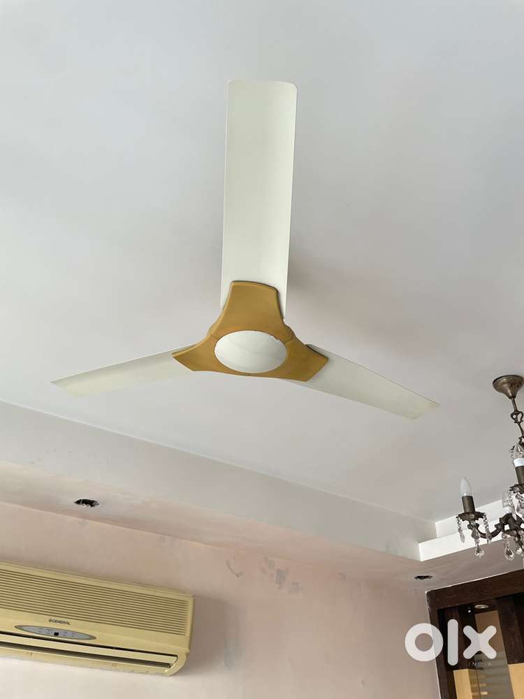 Crompton 1200MM Ceiling Fan