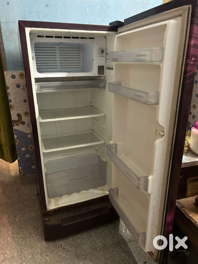 Fridge 200, DOOR GENY WINE MAGNOLIA 185L