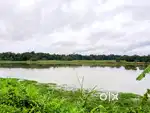 10.1 acre waterfront plot for sale in kanjoor,near aluva,airport,kalad