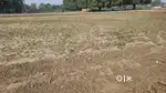 Plot Available for sell in prime location 40*50