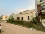 Single story corner kothi for sale in sunny enclave sector 125