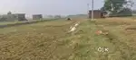 Land plot for sale