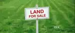 Mangatta Farms land