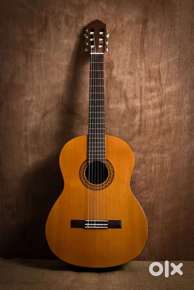Musical instrument