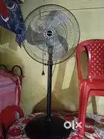 Stan Fan 1 years old