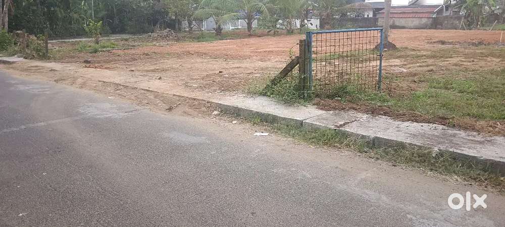Aluvva karumalloor 4 ct 3 ct plot ct 3 60 lk