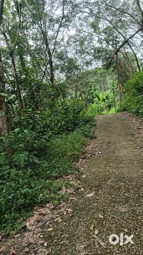 20 cent residential plot available for sale
