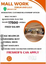 MALL WORK PVR
