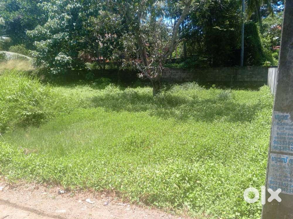 3.5 cent Residential plot for sale Kollamthoppu lane, Karumom