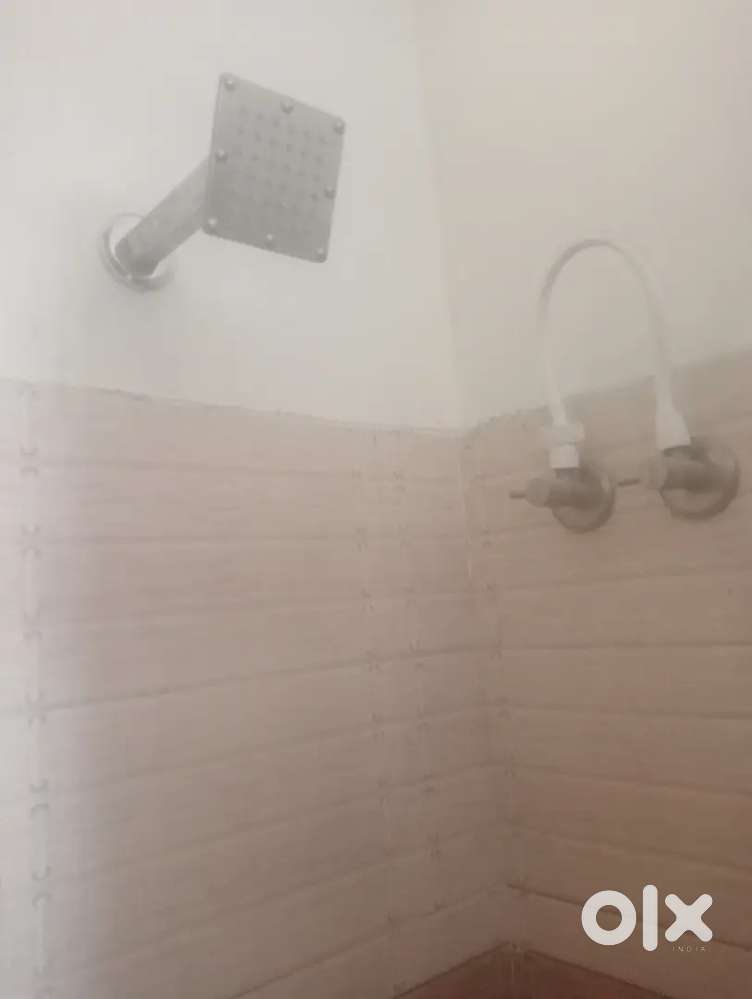 1 bhk flat for rent