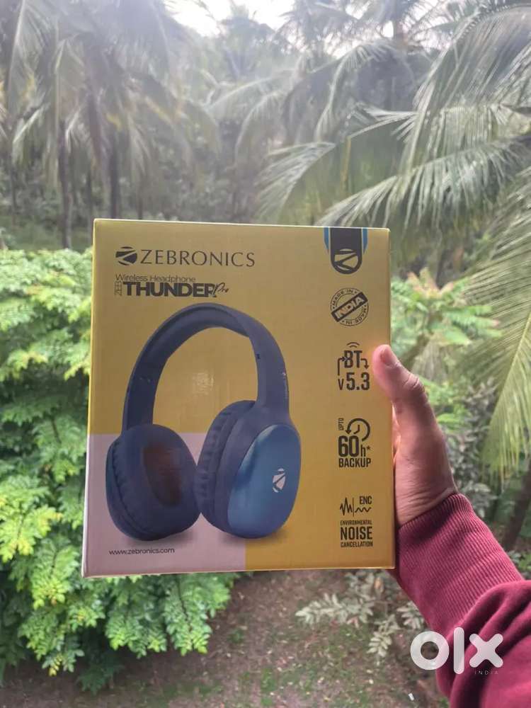 Zebronics Thunder pro