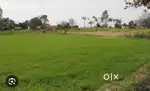Agriculture land for sale