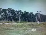 500square yards plot for sale in phase 4 patiala