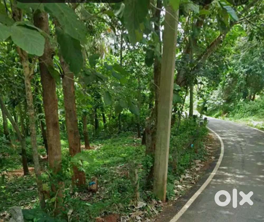 15 cent plots for sale at kulivilai junction near new bypass