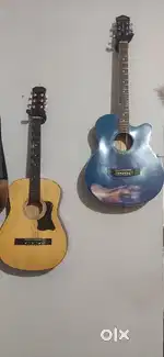 Guitar For sale Both