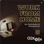 Work from Home job