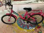 BSA Ledy bird  cycle  and small cycle for sale