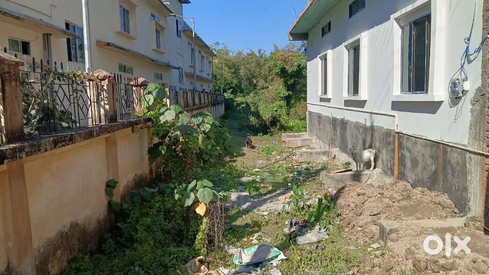 13 lesa mayadi mati sale