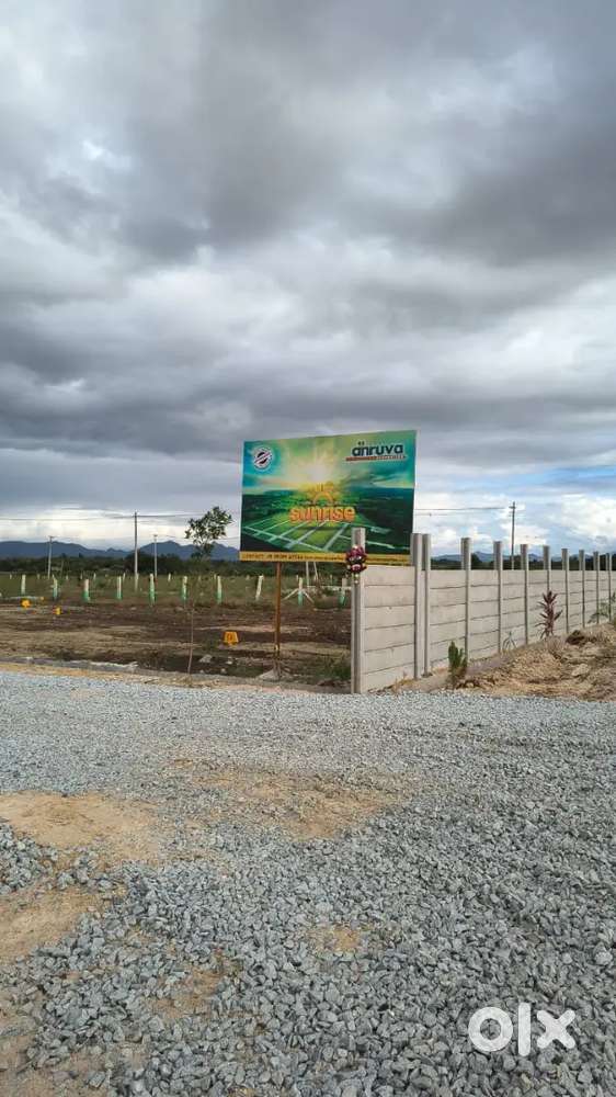 For more information DM me