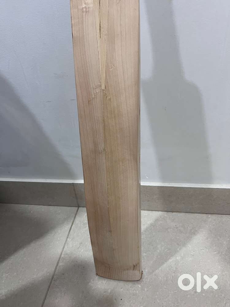 Top grade English willow bat