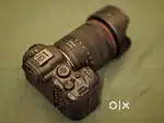Canon R6 Mark II with RF 24-105mm F4 L USM