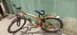 Parrot INFERNOUS