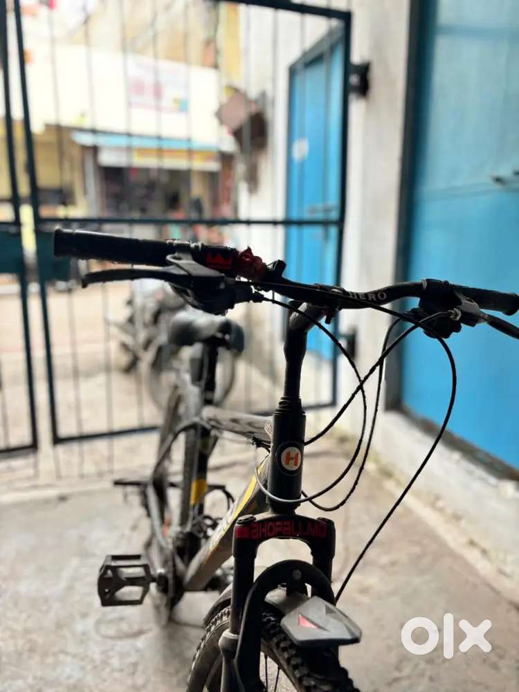 Cycle sales