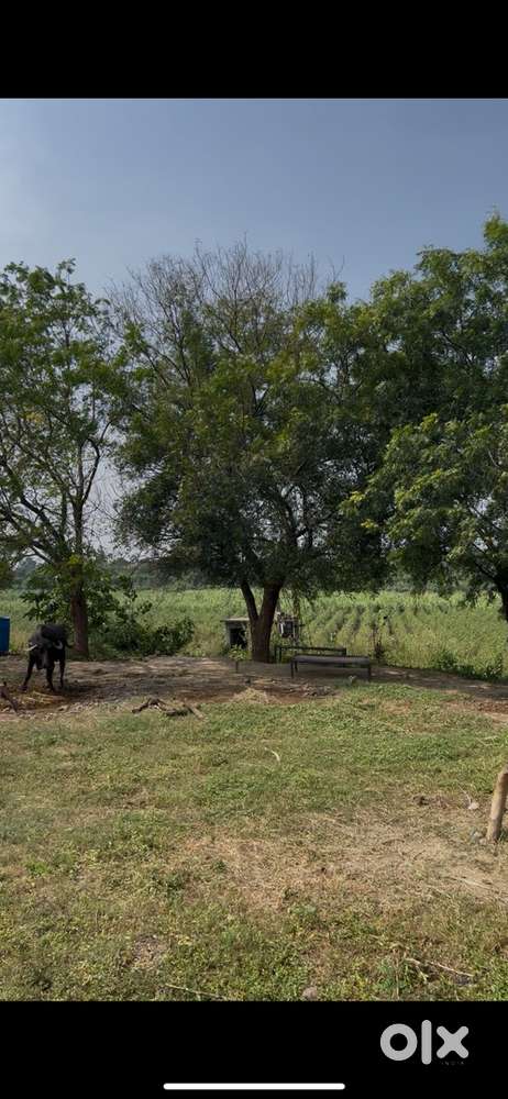 40acre, 3-kuva ,3connection,2 madnu makan,privet rasto.